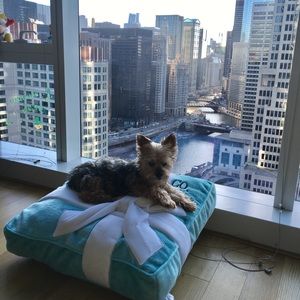 Meet your Posher, Stacy